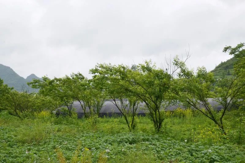 扶贫故事纪录片,扶贫故事两千字