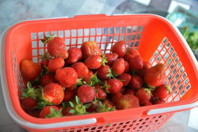 扶贫故事纪录片,扶贫故事两千字