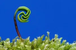 孩子胆小内向不自信怎么引导,孩子胆小内向不自信怎么办