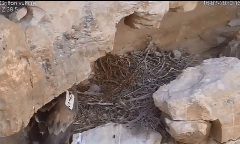 终于来了!郑州无人驾驶公交开通,免费乘坐;重磅!今起河南6城发消费券丨大河早新闻(语音版)