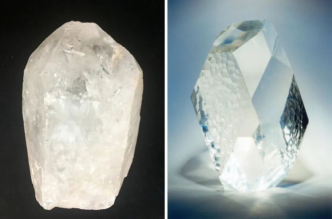 小料观察神秘生物,小料科普大师