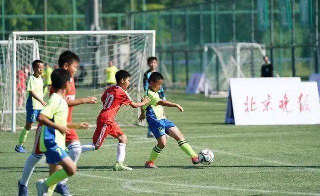 2025成都世界运动会志愿者招募,足球赛志愿者什么时候招募