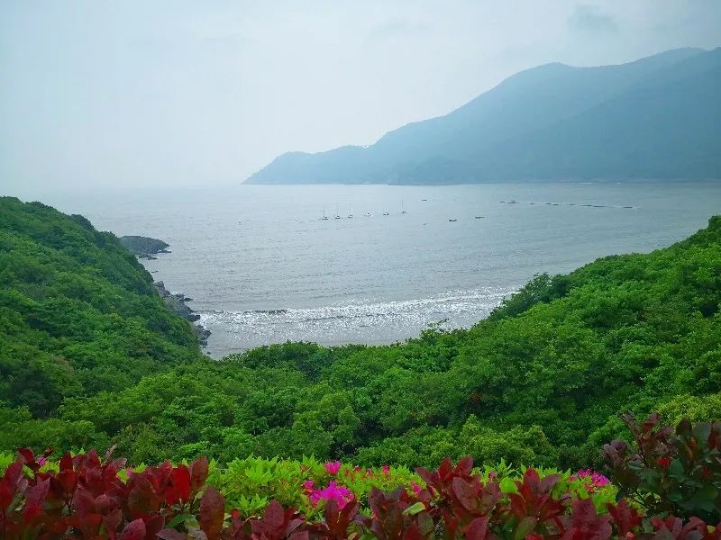 2020第一届环舟山自行车骑游大会报名重启