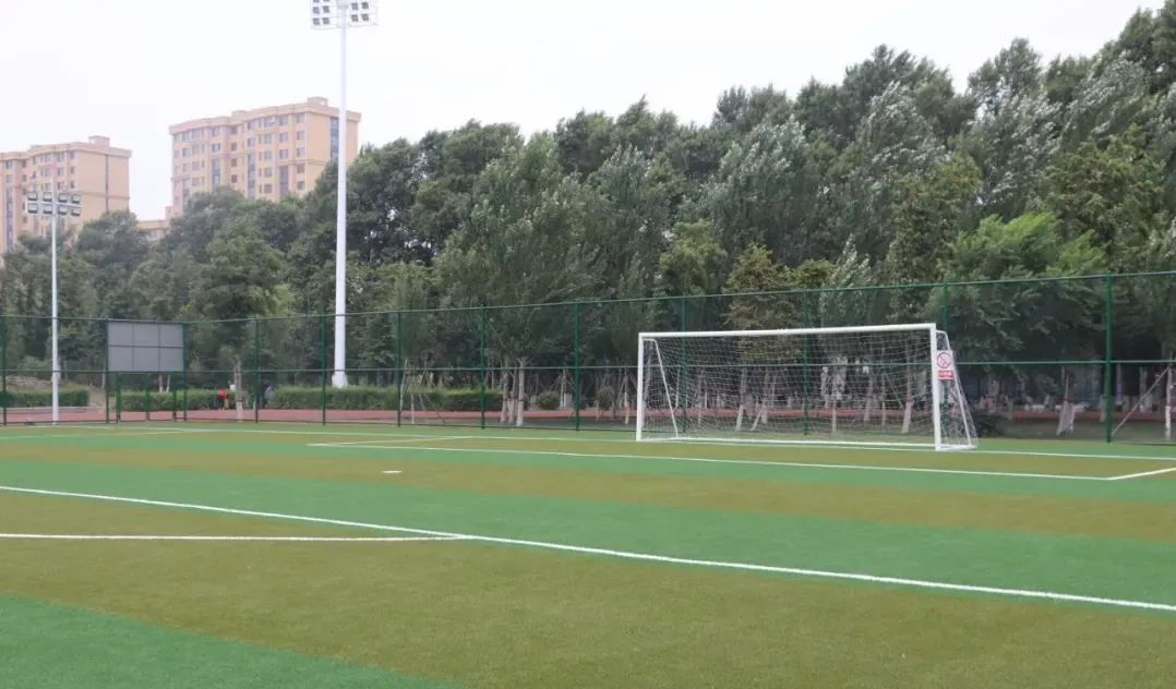 四平免费足球场南湖公园,四平足球场人造草坪