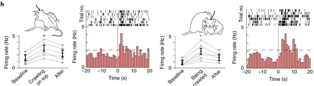 科学家拍摄,科学家拍视频