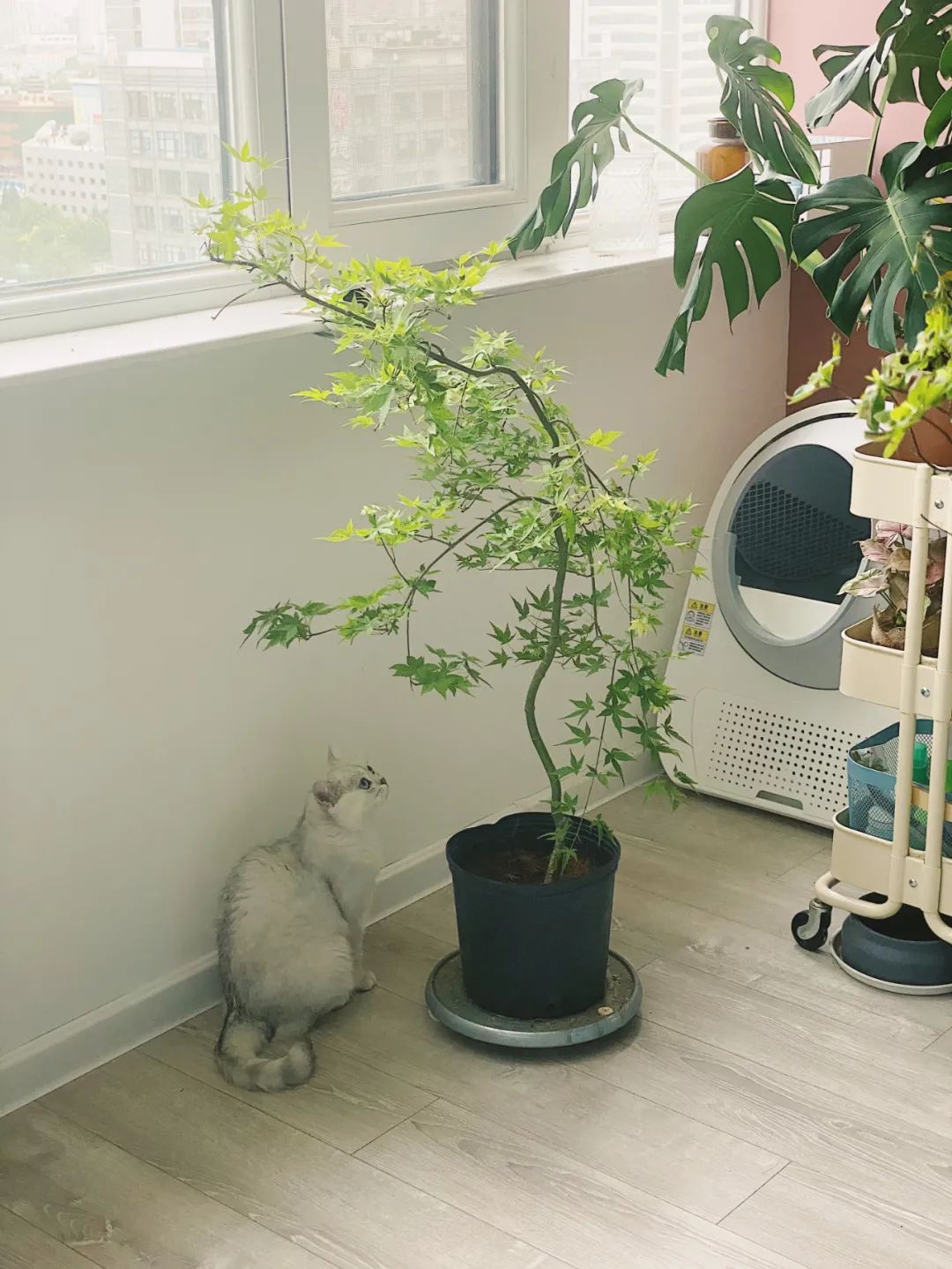 宜家超强收纳,宜家全屋整理收纳