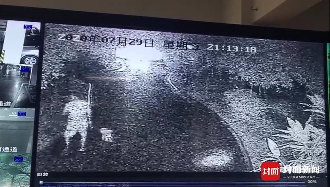 狗咬狗是否可以起诉主人,狗咬了别人法律怎么判