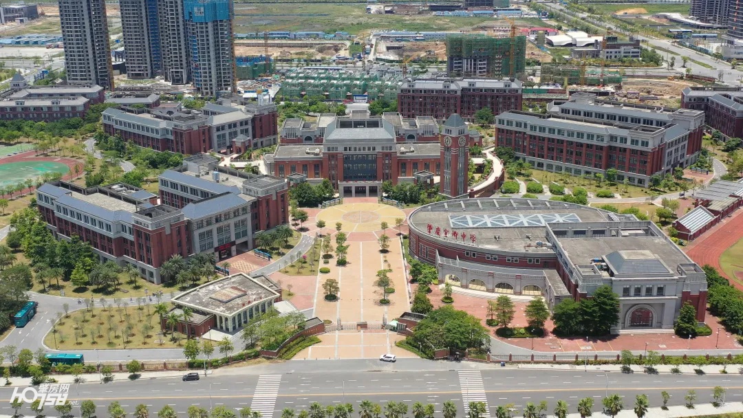 肇庆新区大力发展工业区,肇庆新区大旺未来发展