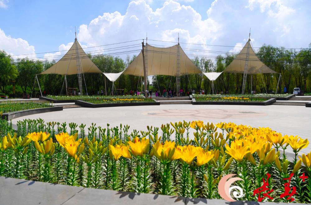 长春最佳百花园赏花季节,长春有什么好看的花海