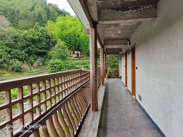 武夷山景区2020,中国最美的武夷山