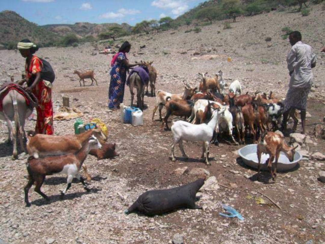 吉布提吸引中国人吗,吉布提生命之水