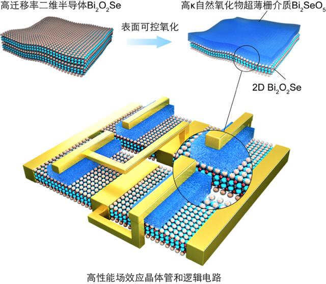 北京大学硕士学位评定委员会,北京大学学士学位评定委员会