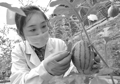 培养用好高层次人才,完善高层次人才的培养体系