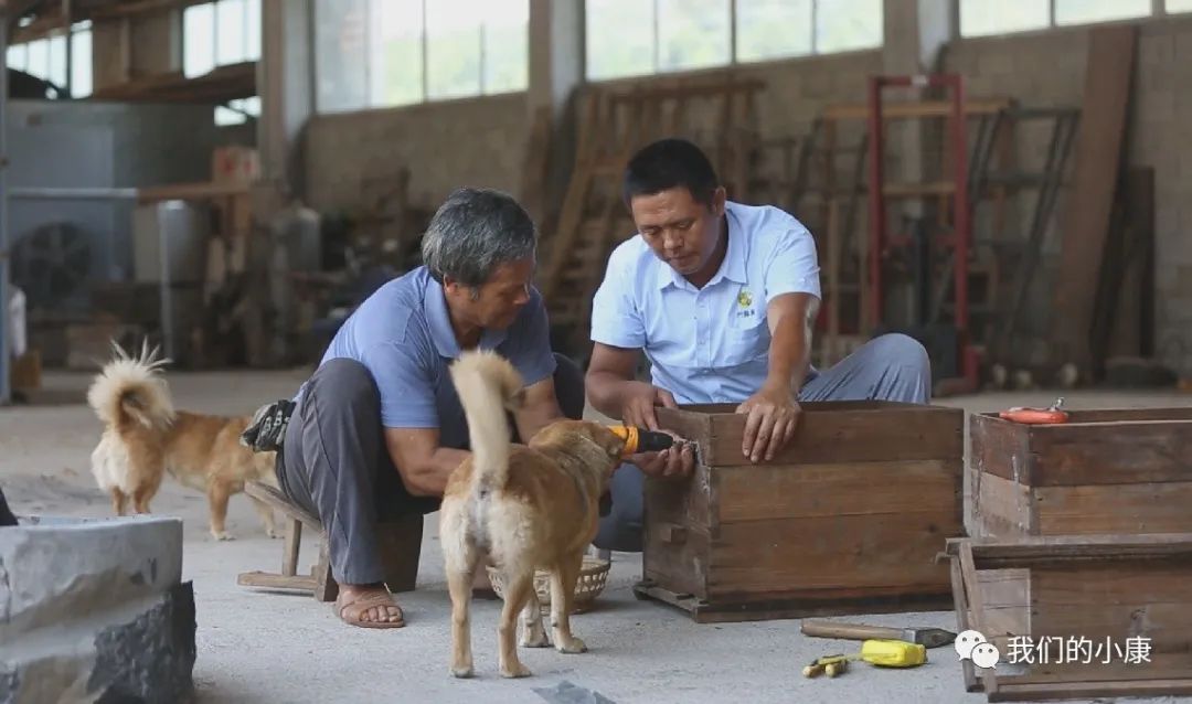 让数据多跑路让民众少跑腿,让数据多跑路让老年人少跑腿