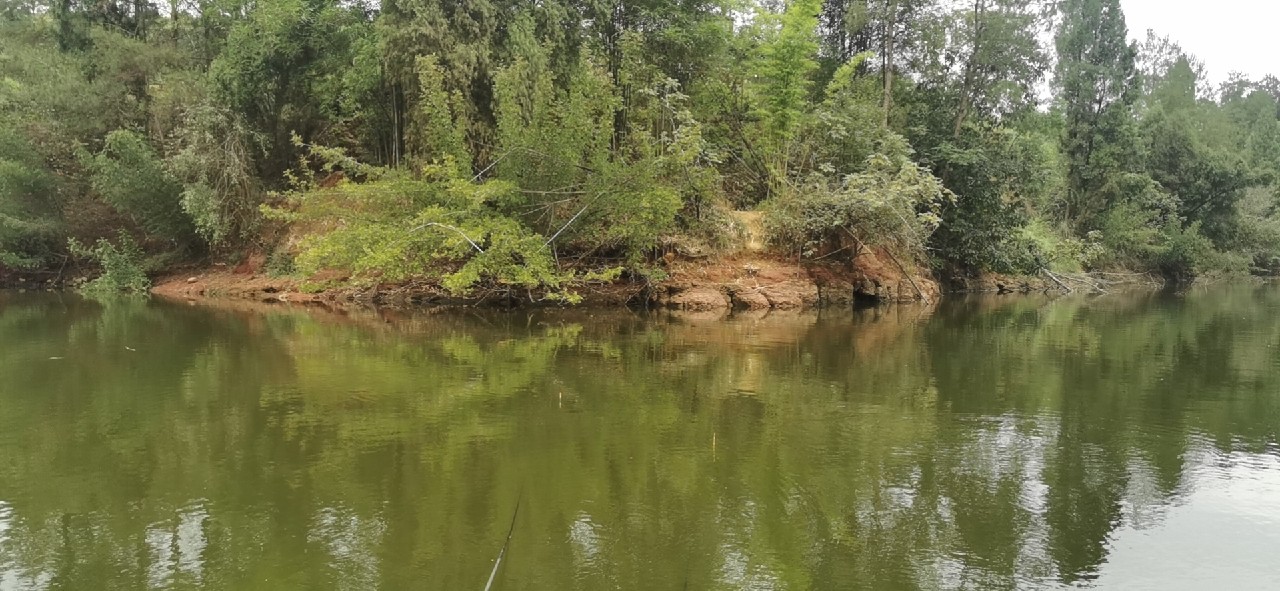 封杆之战决胜局,封竿之战