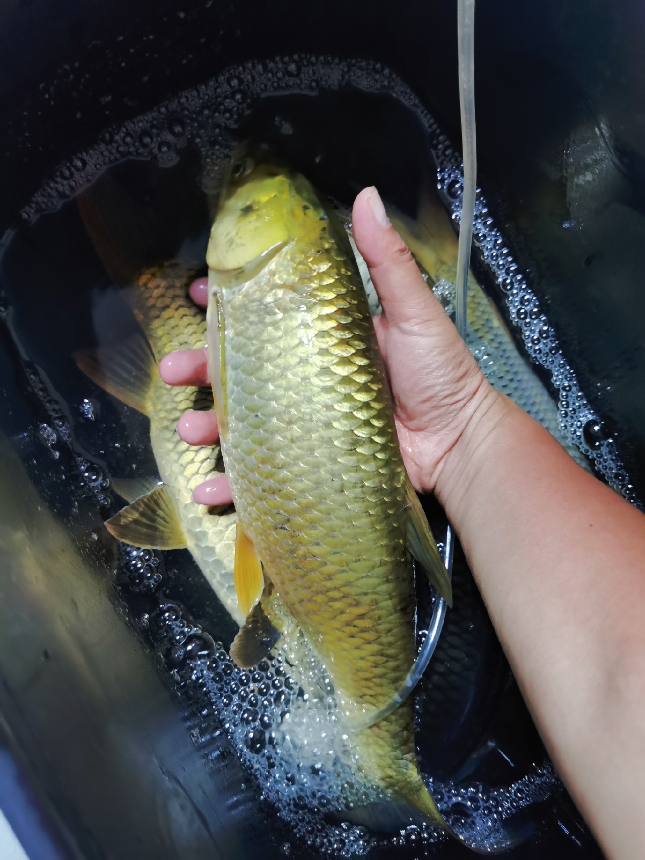 封杆之战决胜局,封竿之战