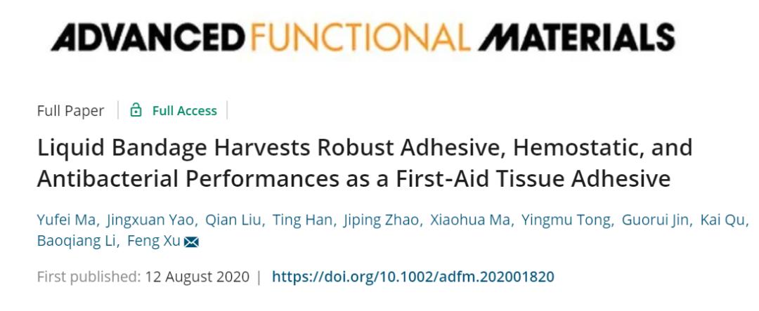 寰愬嘲瑗垮畨浜ゅぇ,瑗垮畨浜ゅぇ寰愬嘲鏁欐巿