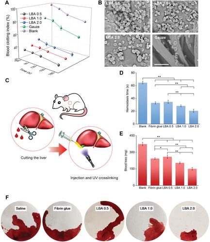 寰愬嘲瑗垮畨浜ゅぇ,瑗垮畨浜ゅぇ寰愬嘲鏁欐巿