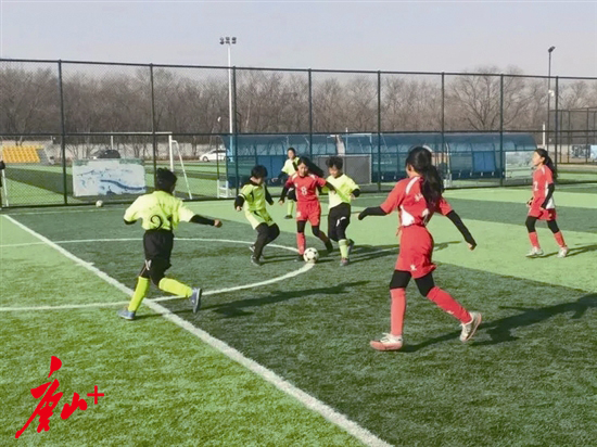 河北区青少年足球,市青少年足球赛火热举行