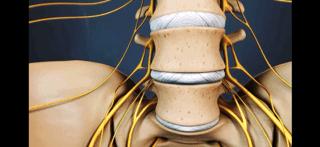 腰痛来龙去脉,腰疼真相