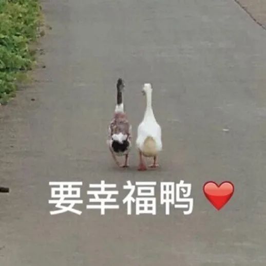 关于舌尖上的浪费的感悟,拒绝舌尖上的浪费谈感悟