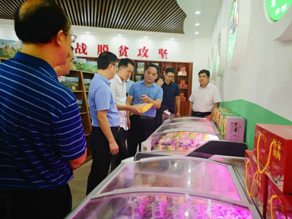 芋博士脱贫视频,芋博士贺州