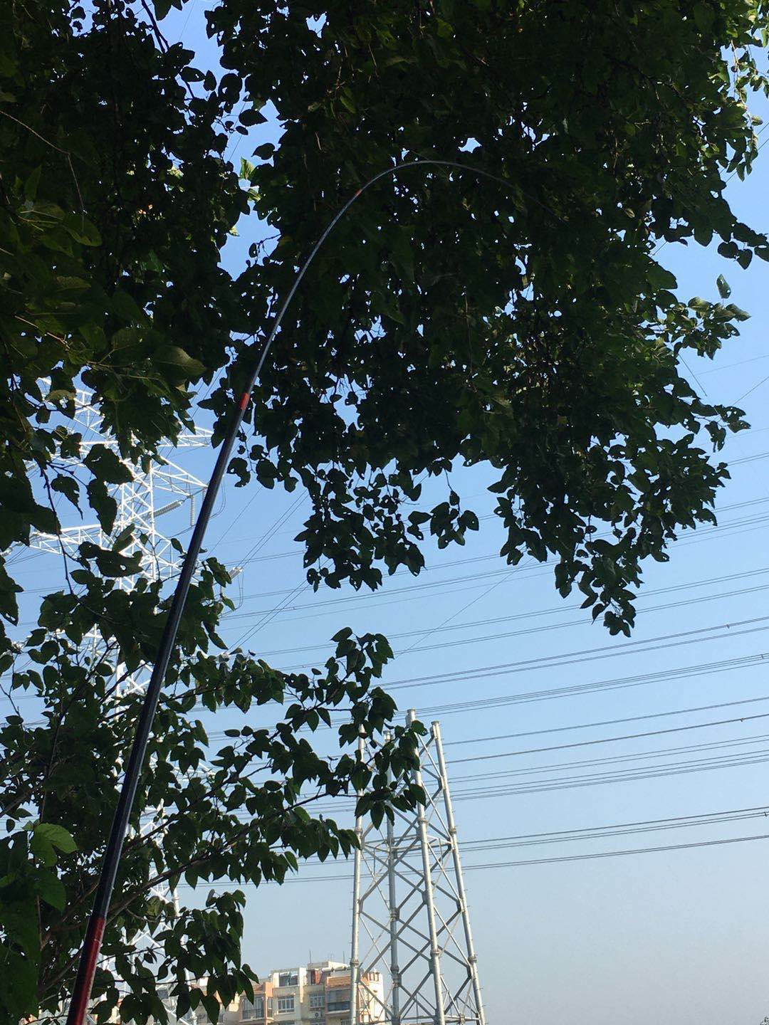 钓鱼人818完整视频,钓鱼人818攻略