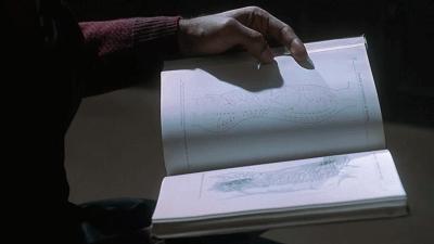 拯救上万儿童的医学大神，居然不配拥有姓名？