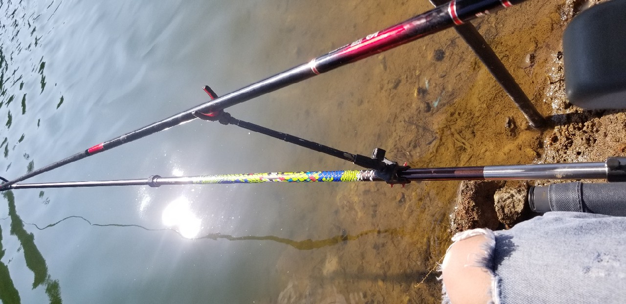 鱼没钓到还把诱饵吃了,鱼没钓到雨还下大了