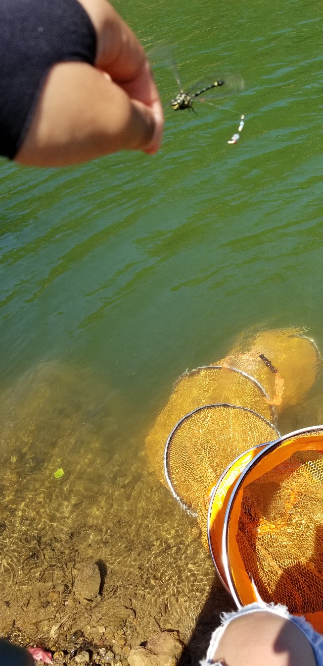 鱼没钓到还把诱饵吃了,鱼没钓到雨还下大了