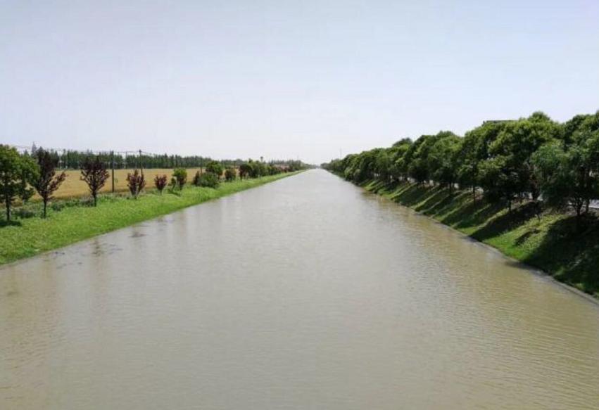 崇明张网港上桥,崇明张网港桥最新消息