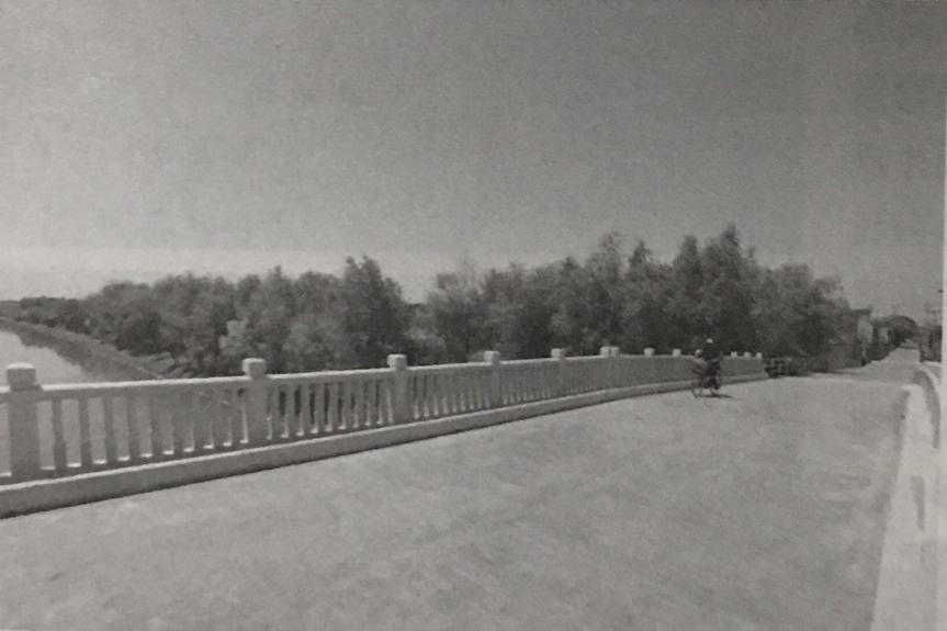 崇明张网港上桥,崇明张网港桥最新消息