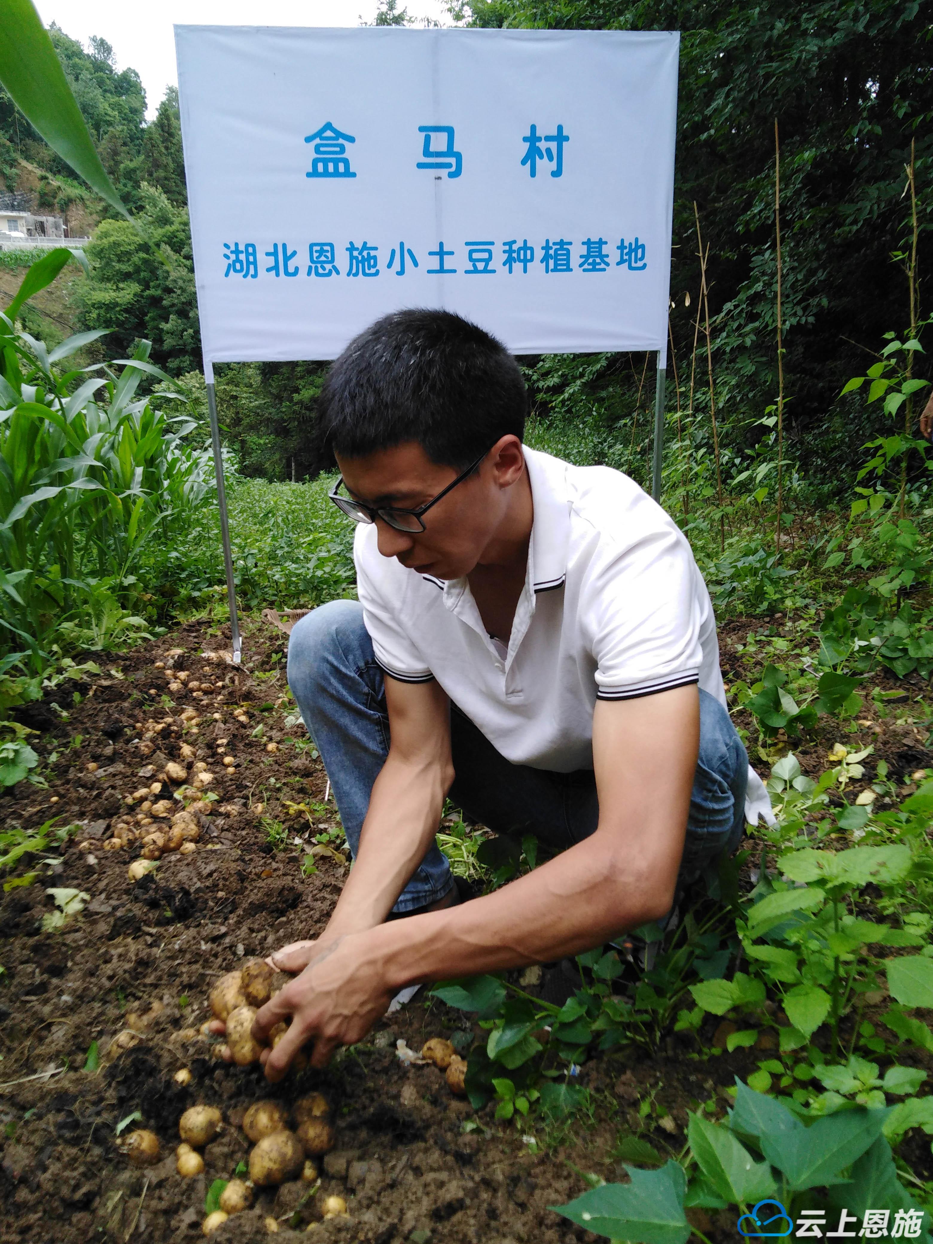 巴东山货怎么样,巴东脐橙山货上头条