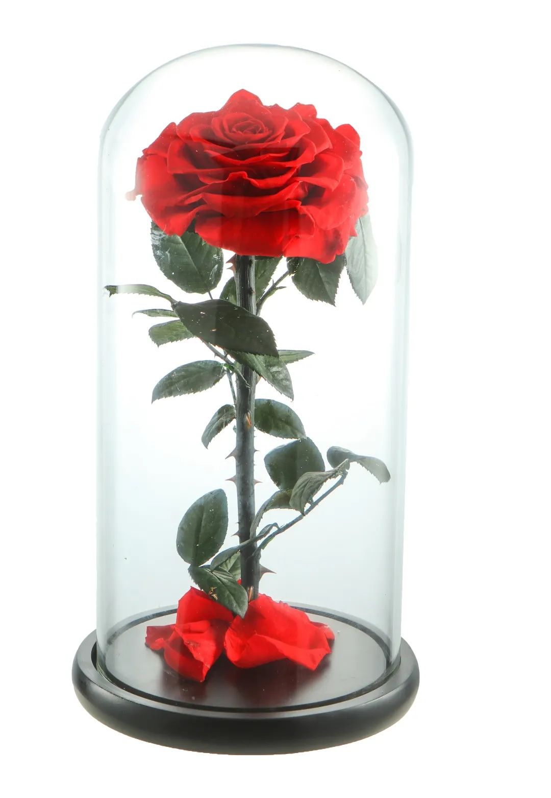 招募｜钻石吊坠、购物卡、电影票……这个七夕来扬州金鹰文昌店相遇爱情