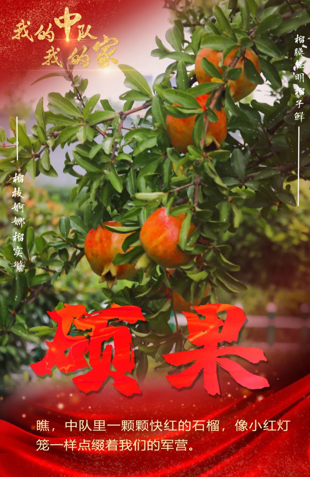 我的中队我的家,我的中队