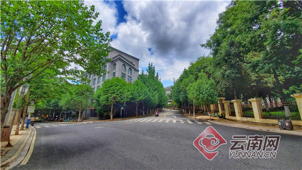 「Vlog·探路」文化巷文林街：照亮昆明城的文艺明珠