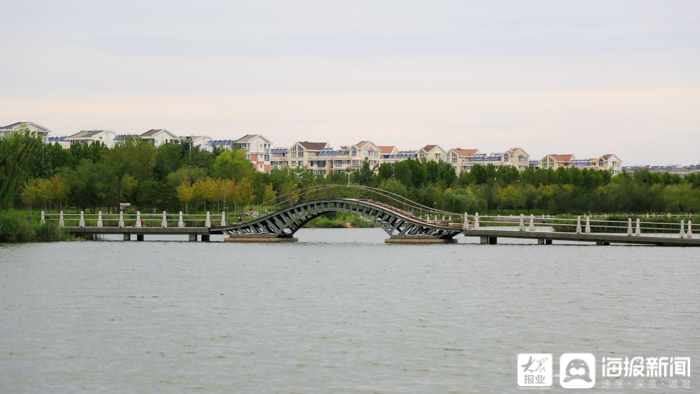东营秋月湖晨景视频,东营西湖公园美景