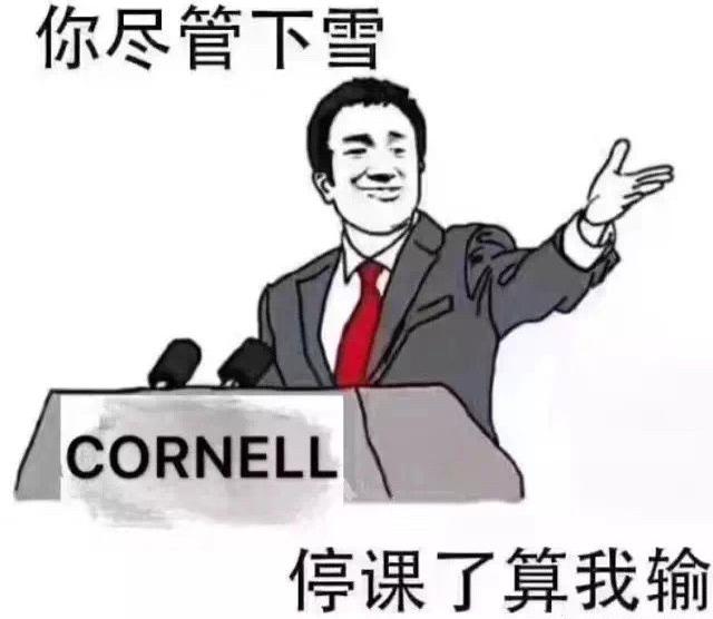 康奈尔福奇事件,康奈尔留学圈事件