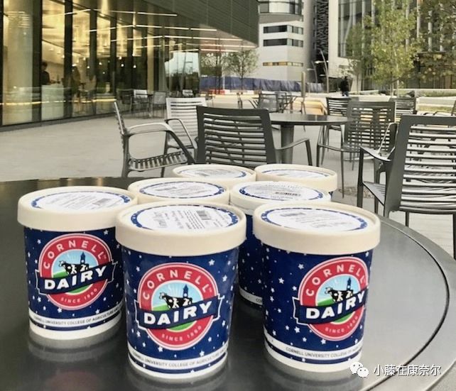 康奈尔福奇事件,康奈尔留学圈事件