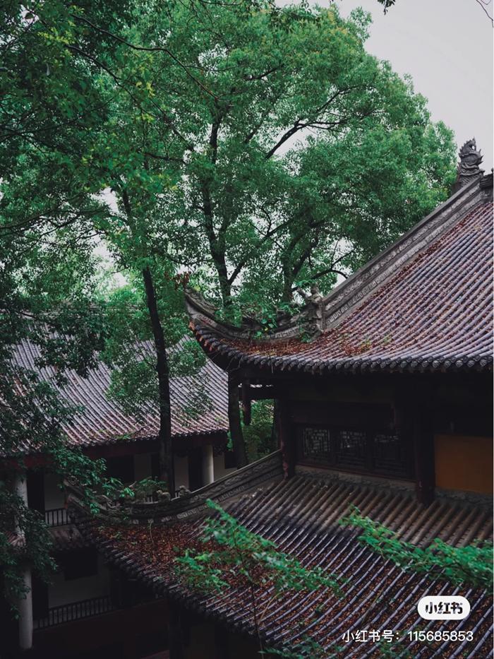 好消息，成都到资阳将通地铁！未来逛被遗忘的“石窟佛国”、资阳版“马尔代夫”更方便啦