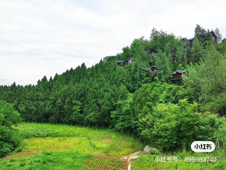 好消息，成都到资阳将通地铁！未来逛被遗忘的“石窟佛国”、资阳版“马尔代夫”更方便啦