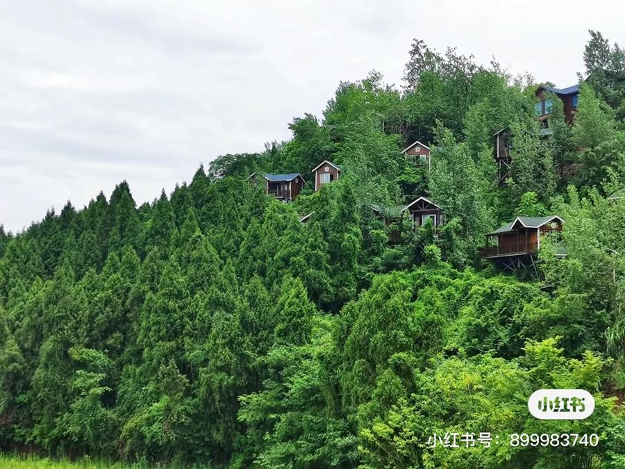 好消息，成都到资阳将通地铁！未来逛被遗忘的“石窟佛国”、资阳版“马尔代夫”更方便啦