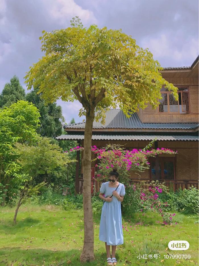 好消息，成都到资阳将通地铁！未来逛被遗忘的“石窟佛国”、资阳版“马尔代夫”更方便啦