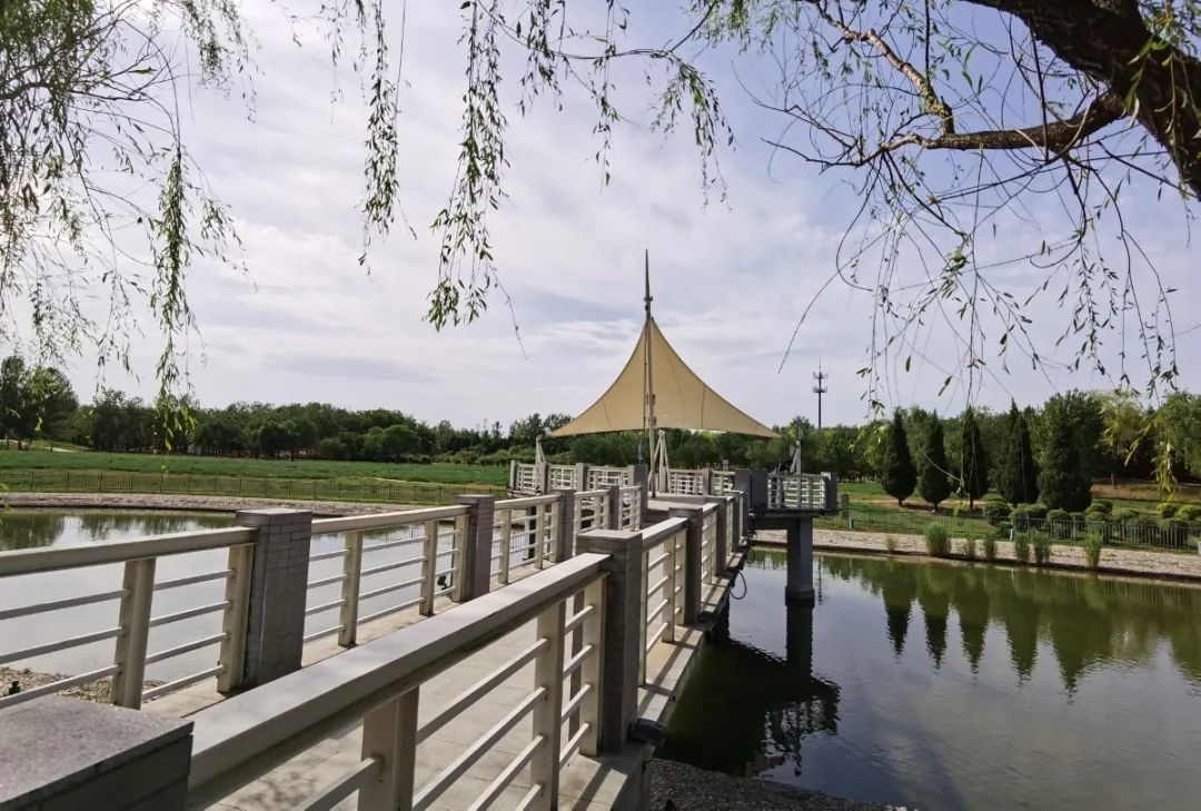 漫游古城享受惬意时光,感受大自然的气息和美景逛新城