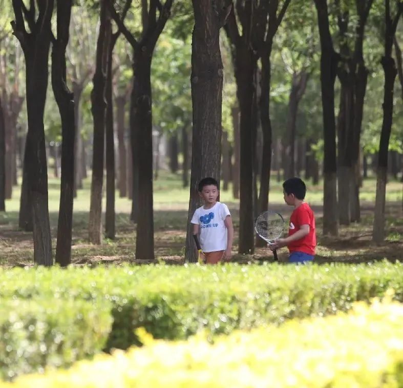 漫游古城享受惬意时光,感受大自然的气息和美景逛新城