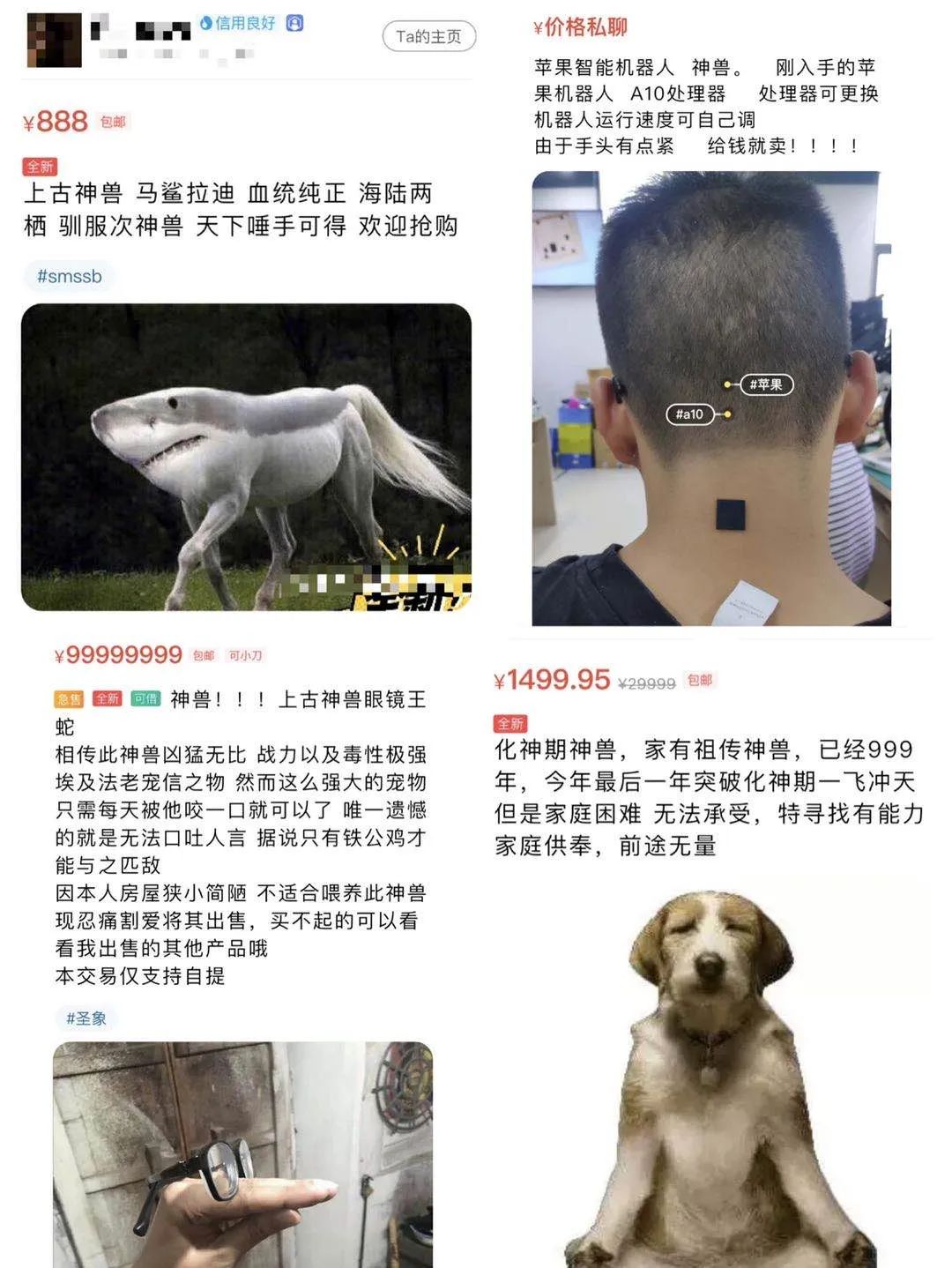 刷闲鱼成了我每天的快乐源泉