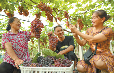 为全球消除贫困贡献中国方案,全球减贫事业