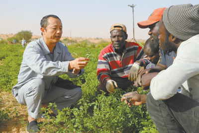 为全球消除贫困贡献中国方案,全球减贫事业