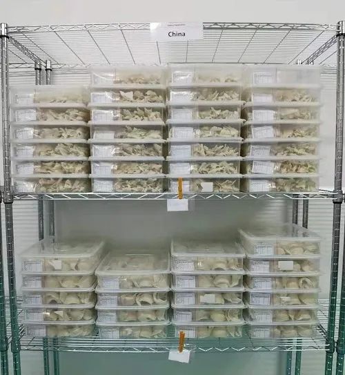 燕窝进口关税多少,进口燕窝哪种比较好