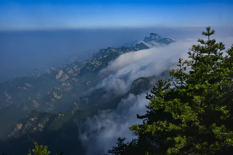 抓住假期尾巴附近景点打卡,抓住周末的小尾巴打卡网红地